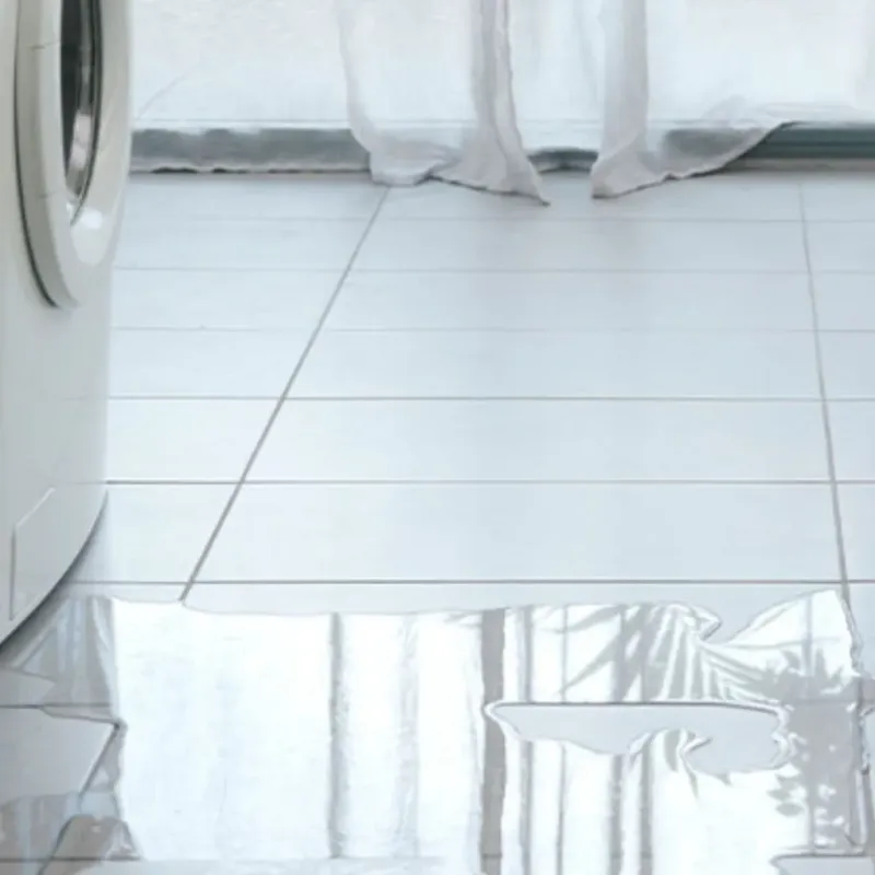 Appliance Leak Cleanup in Clyde Hill, WA